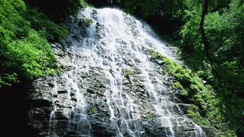 精密精密高端